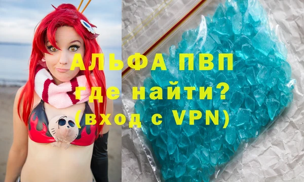 ПСИЛОЦИБИНОВЫЕ ГРИБЫ Няндома