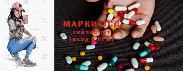 ПСИЛОЦИБИНОВЫЕ ГРИБЫ Няндома