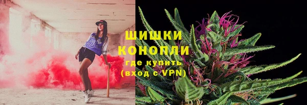 ПСИЛОЦИБИНОВЫЕ ГРИБЫ Няндома