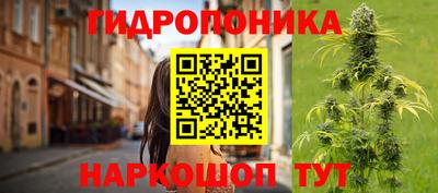 ГАЛЛЮЦИНОГЕННЫЕ ГРИБЫ Гусь-Хрустальный