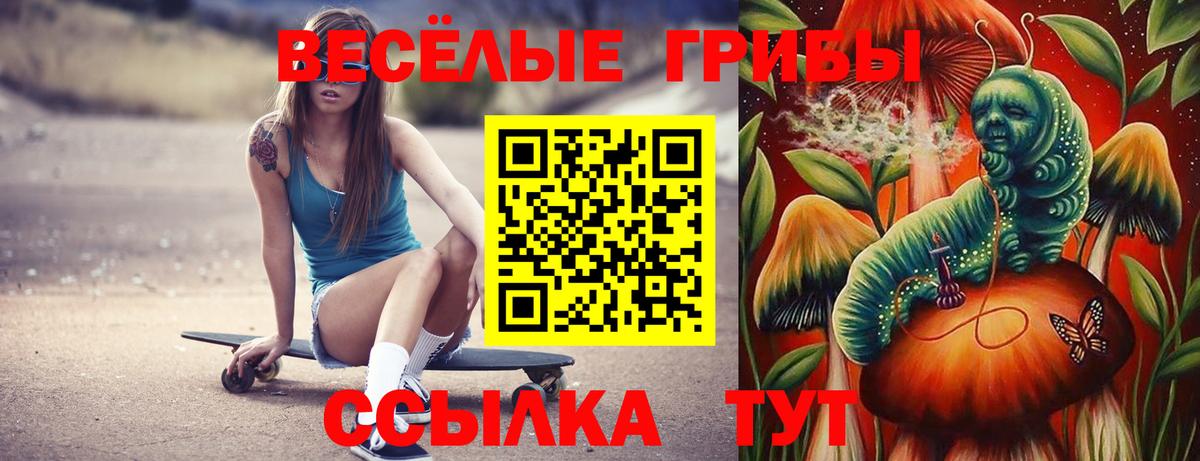 Уссурийск  Галлюциногенные грибы Psilocybe  Вход с VPN  Галлюциногенные грибы Psilocybine cubensis 
