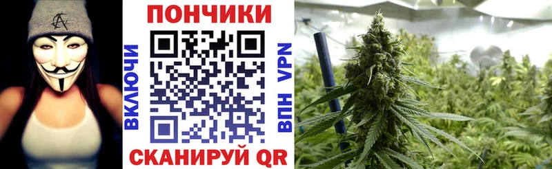 Канабис план MEGA сайт Уссурийск